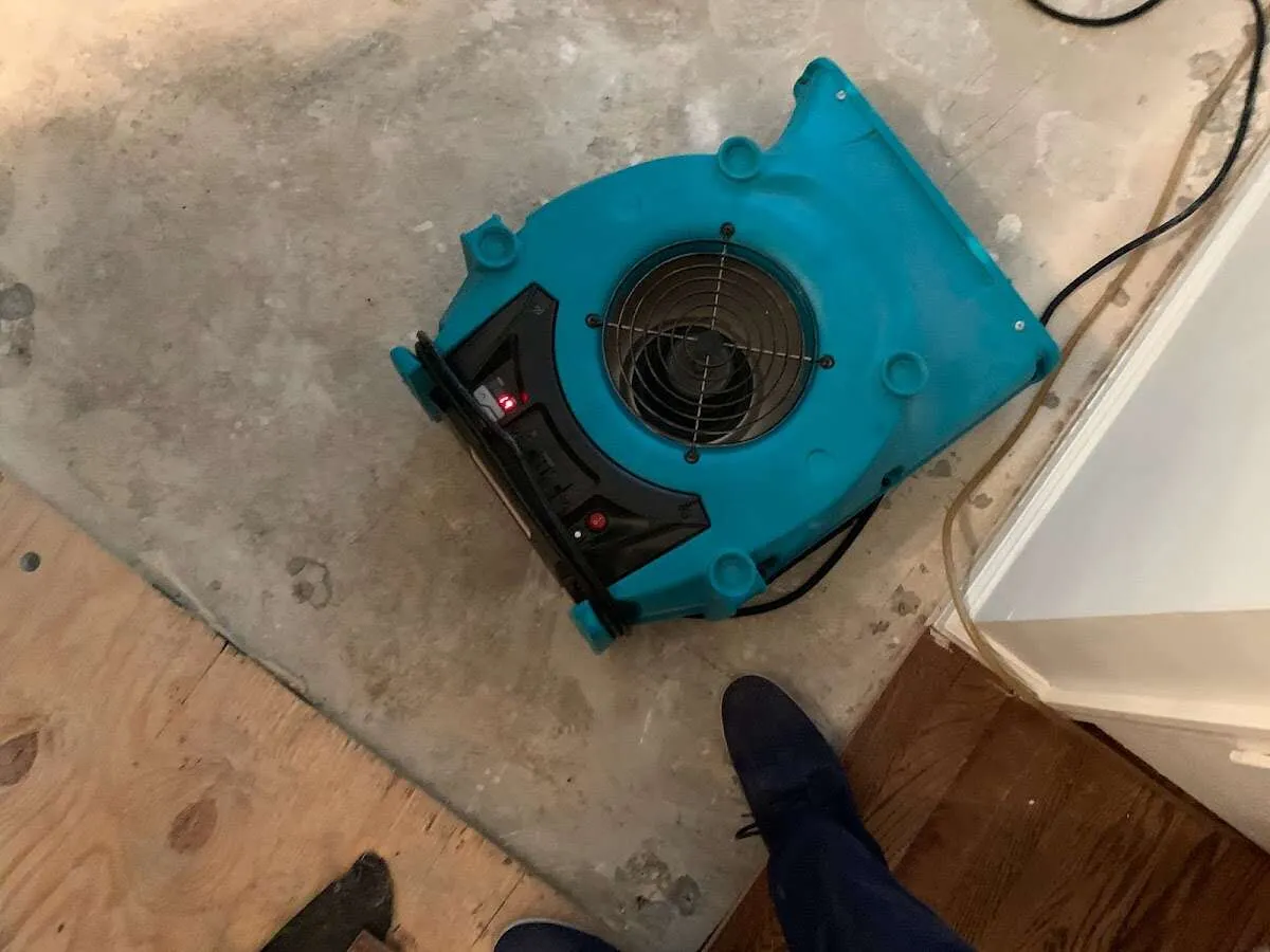 Air mover drying subfloor during Leak Detection & Repair in Valley Stream